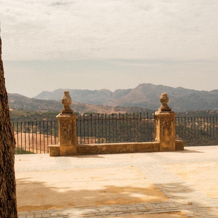 Outdoor terrace seating suitable for families in Amsterdam